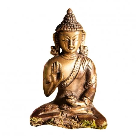 Amoghasiddhi Dhyani Buddha
