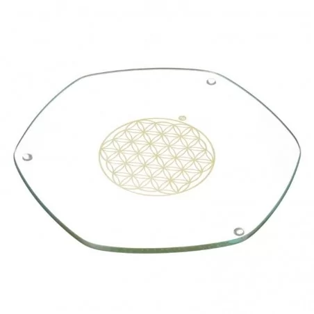 Voyager Energy Plate Gold 22cm Nature's Design