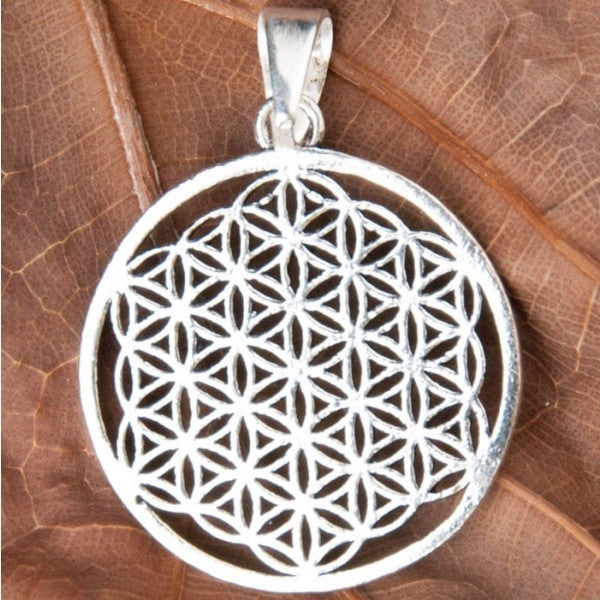 Anhänger Lebensblume - Messing versilbert 30 mm