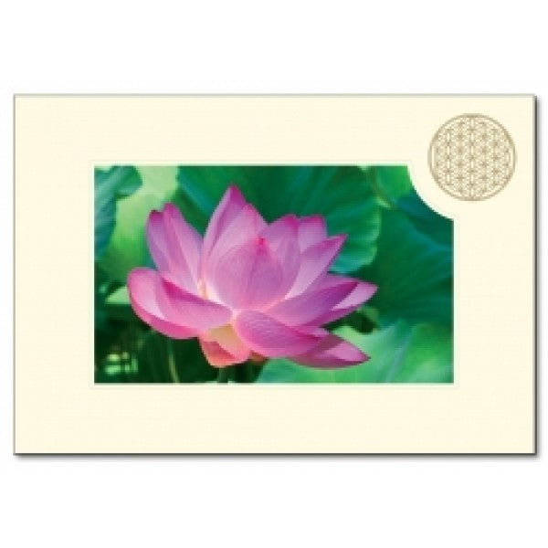 Klappkarte Lebensblume - Lotusblüte