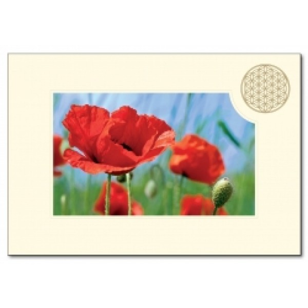 Klappkarte Blume des Lebens - Mohnblume rot