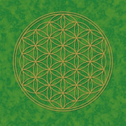 Poster Blume des Lebens grün