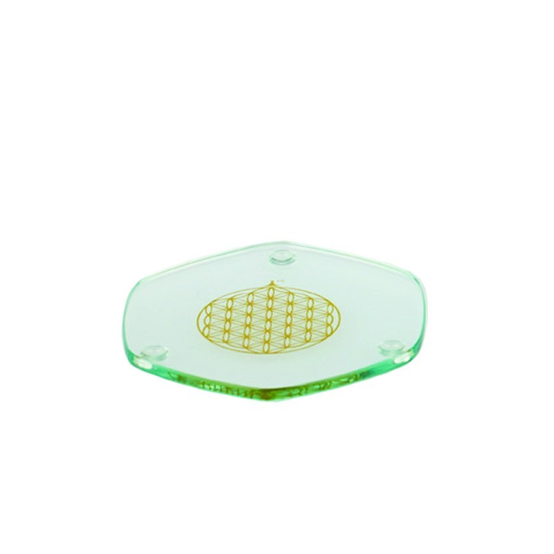 Golden Voyagerplatte 9cm