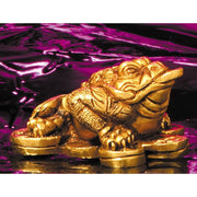 Dreibeiniger Geldfrosch - Messing | Glücksbringer im FengShui