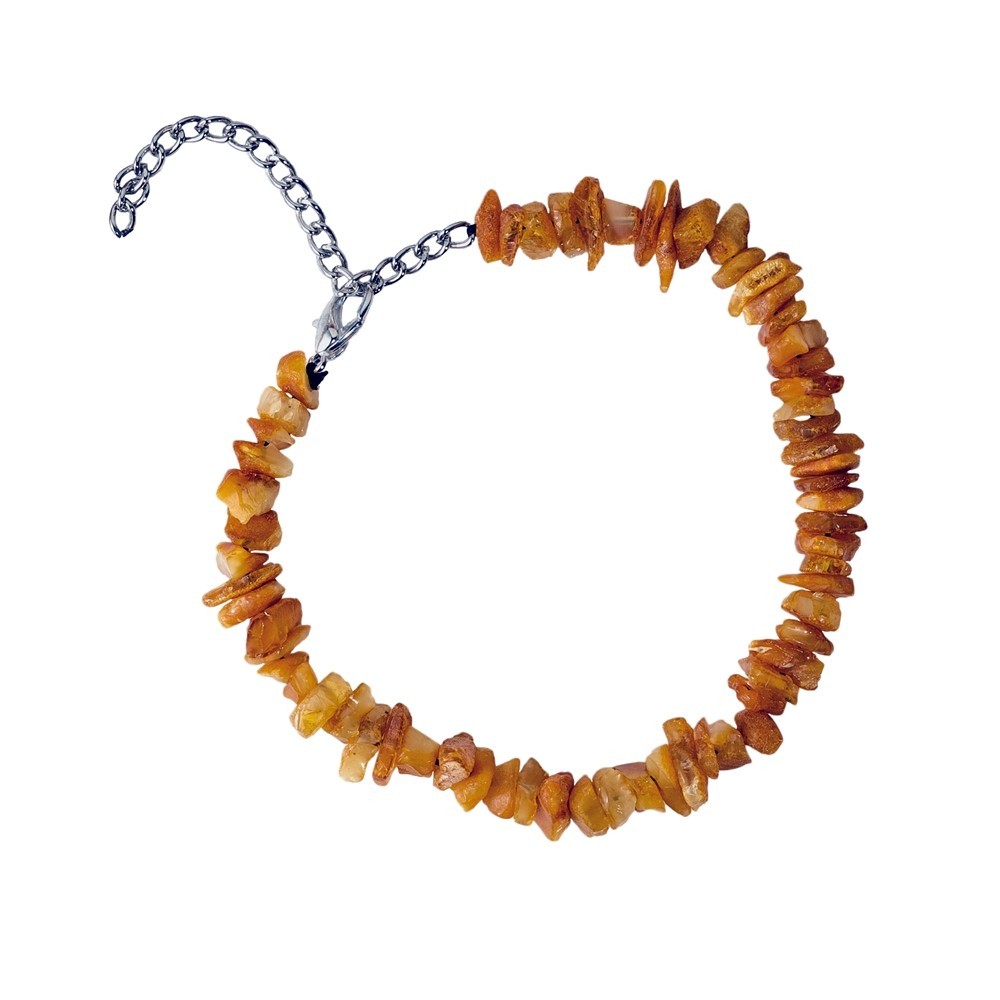 Bernstein Halsband Metallverschluss für Hunde