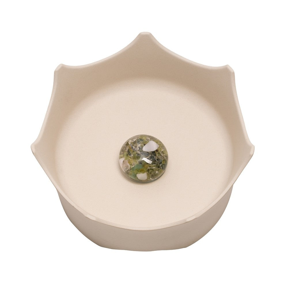 Wassernapf Crown Vitajuwel naturweiss