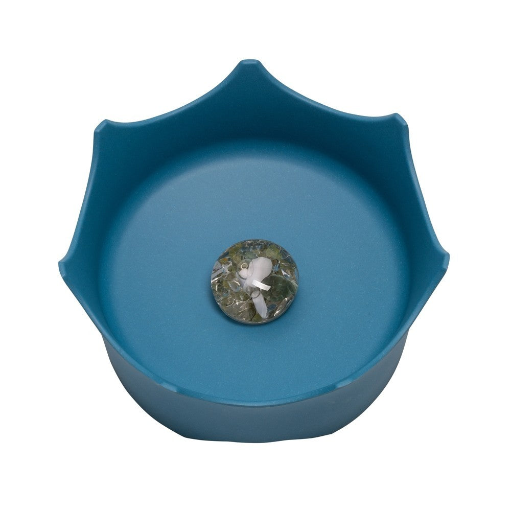 Wassernapf Crown Vitajuwel oceanblau