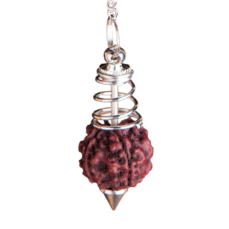Rudraksha - Pendel | mit Kette und Kugel zum Halten