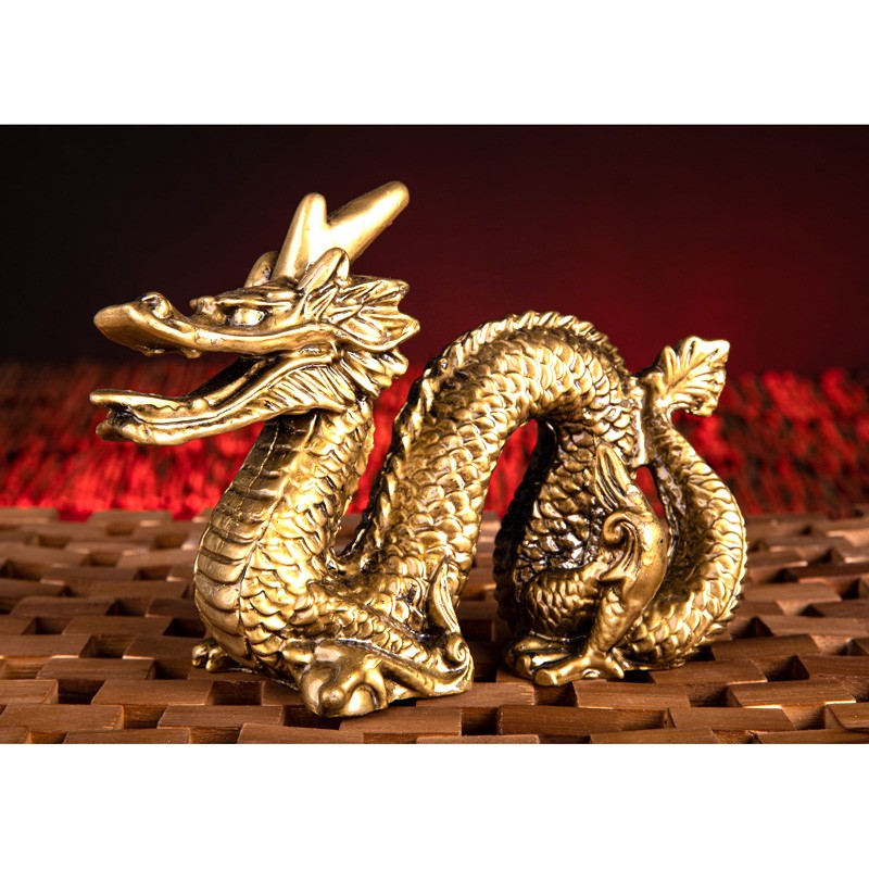 Drachen sind Wächter - Drachen Statuen Online Shop mit Showroom