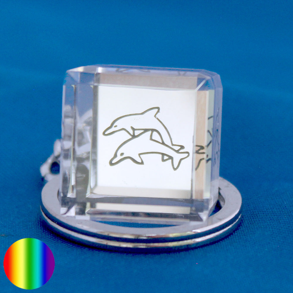 Schlüssel-Anhänger - Glaswürfel Delfine