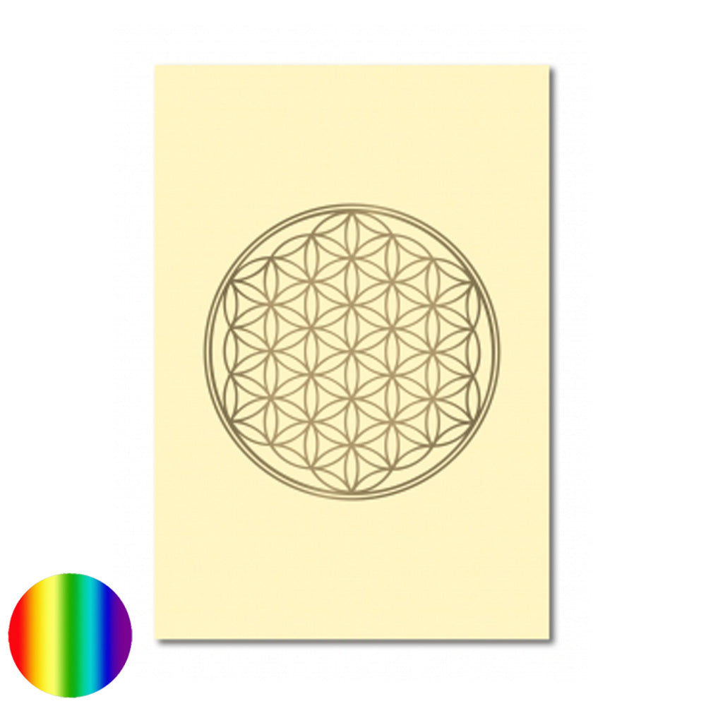 Klappkarte Lebensblume - mattweiss-glanzgold