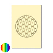Klappkarte Lebensblume - mattweiss-glanzgold