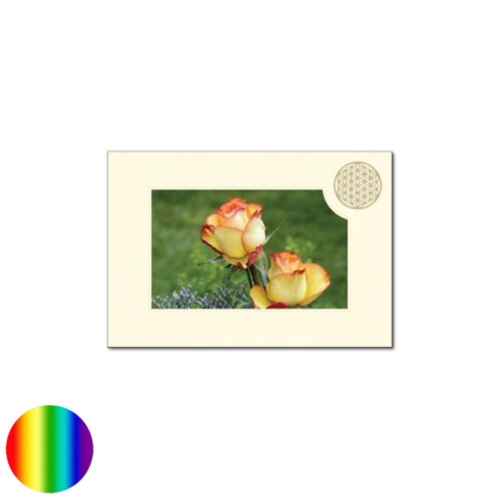 Klappkarte Lebensblume - Rose