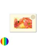 Klappkarte Lebensblume - Mohnblume orange