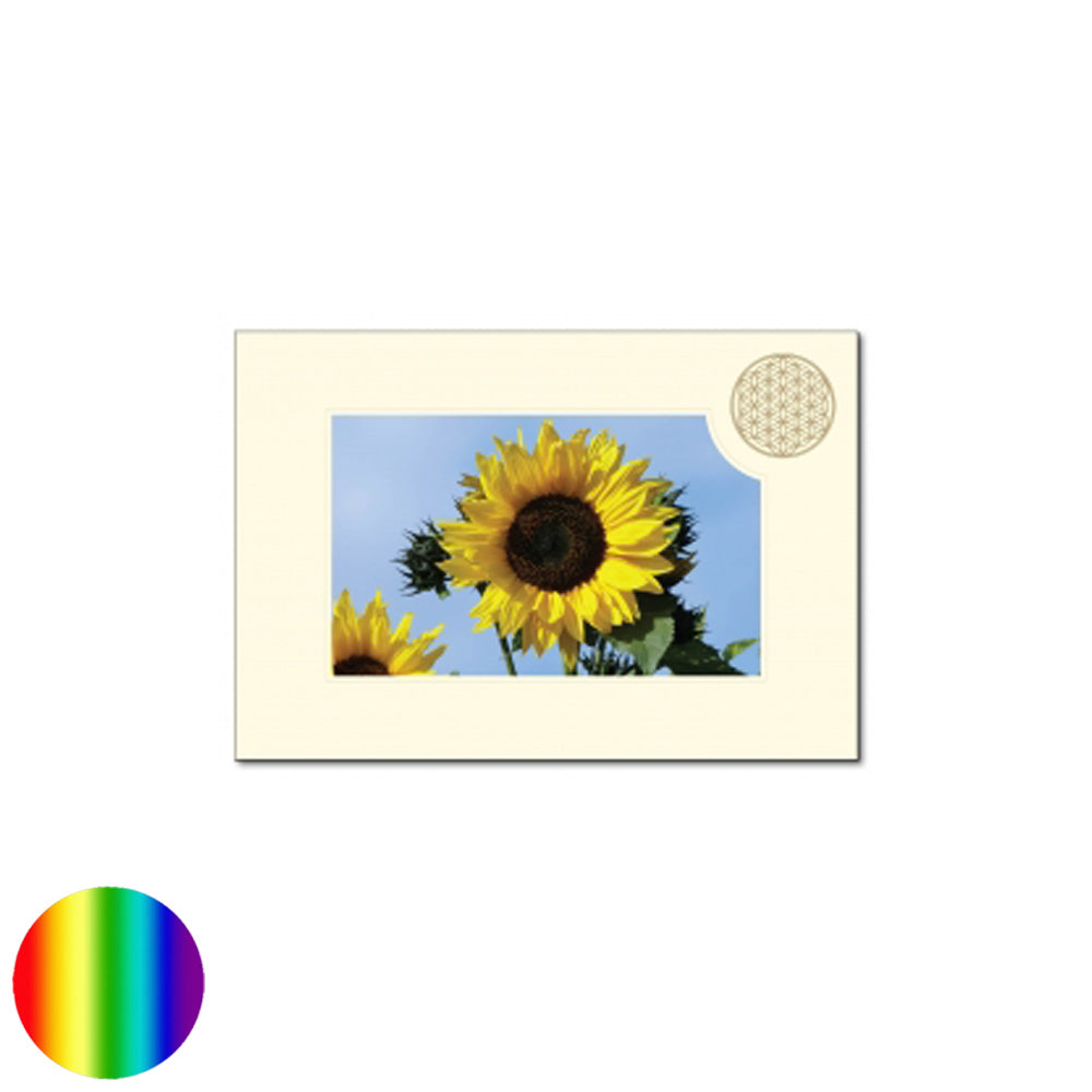 Klappkarte Lebensblume - Sonnenblume