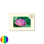 Klappkarte Lebensblume - Lotusblüte