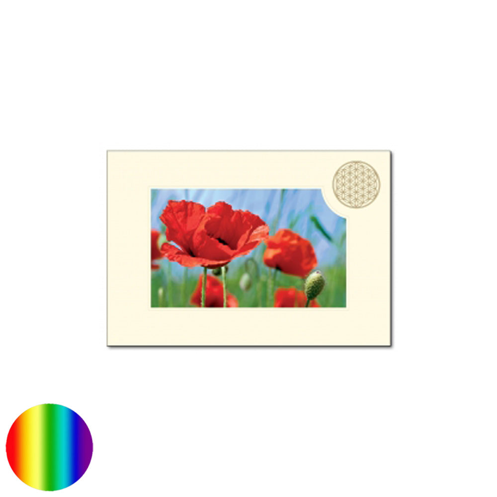 Klappkarte Lebensblume - Mohnblume rot
