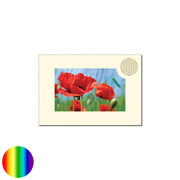 Klappkarte Lebensblume - Mohnblume rot
