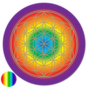 Aufkleber Chakra 20,5cm