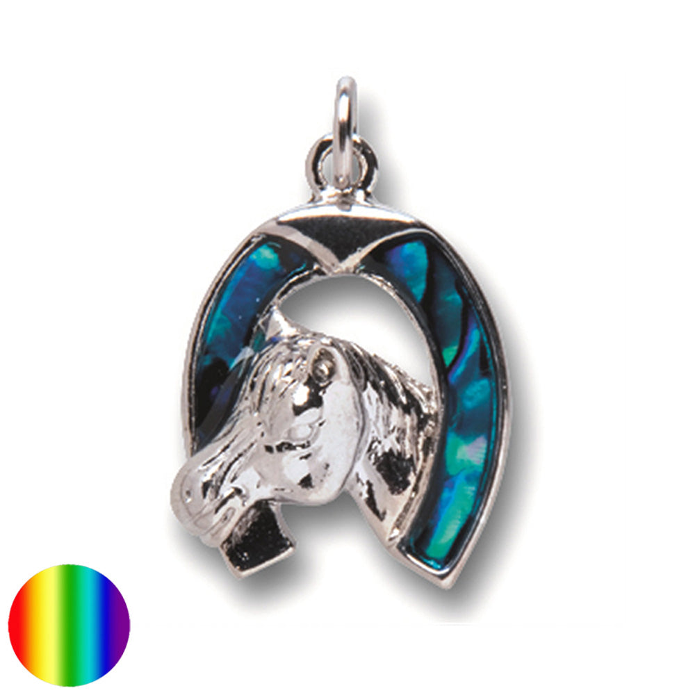 Anhänger Hufeisen Paua-Muschel an Kette