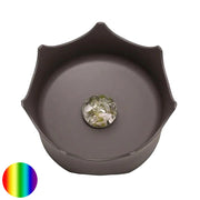 Wassernapf Crown Vitajuwel schiefergrau