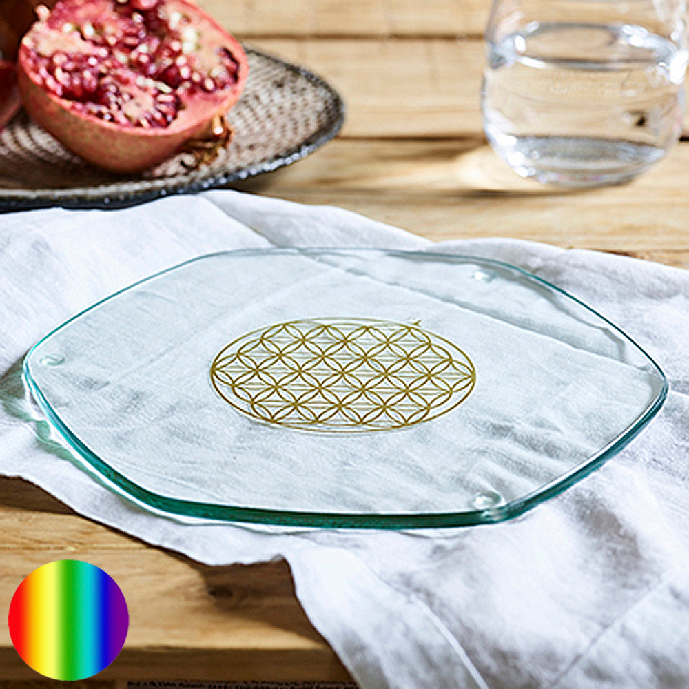 Voyager Energy Plate Gold 22cm Nature's Design