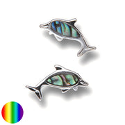Ohrstecker Delfin Paua-Muschel