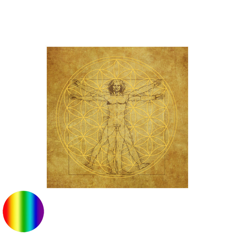 Leinwand-Druck Vituv Da Vinci